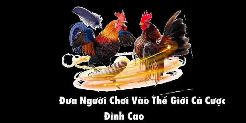 da ga sv66